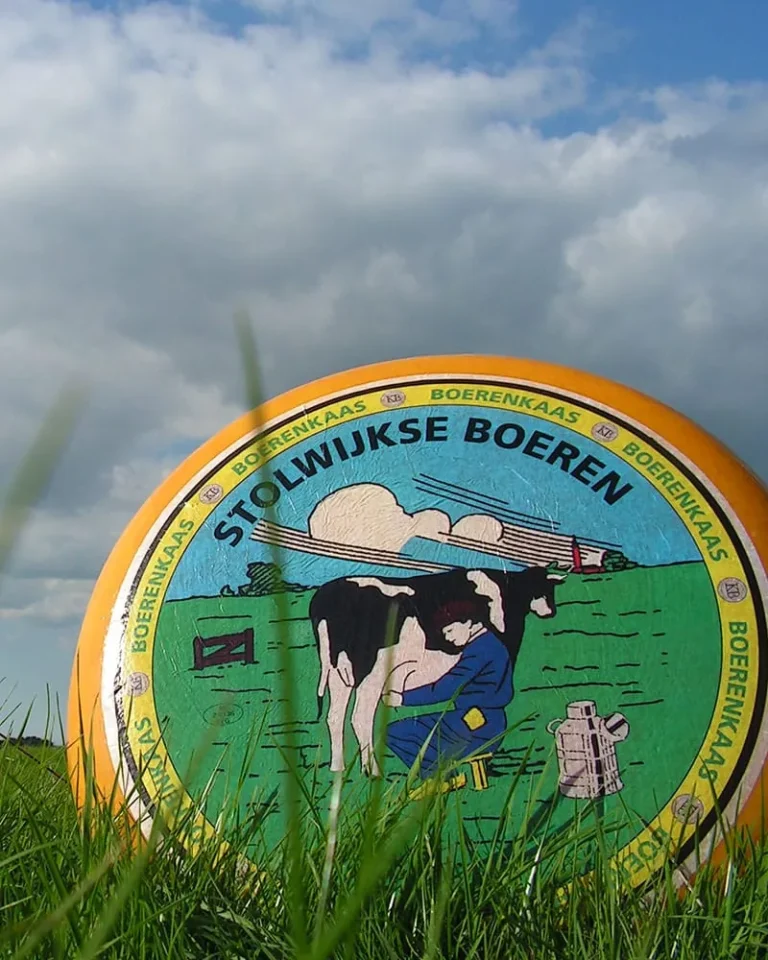 Een wiel Stolwijkse boerenkaas in het gras